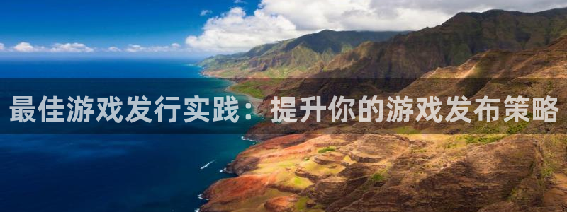 新宝gg登录不上去了了：最佳游戏发行实践：提升你的游戏发布策略