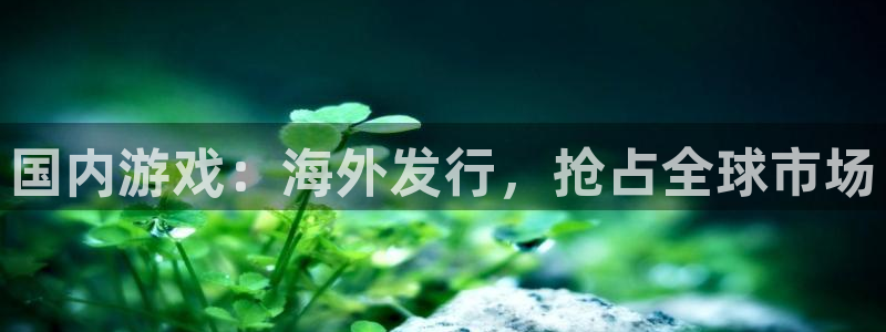 新宝gg怎么退钱：国内游戏：海外发行，抢占全球市场