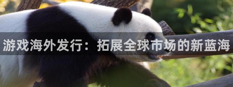 新宝gg一创造奇迹登：游戏海外发行：拓展全球市场的新蓝海