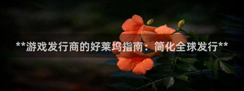 新宝gg注册网址：**游戏发行商的好莱坞指南：简化全球发行**