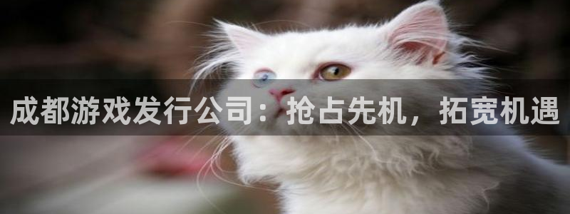 新宝gg：成都游戏发行公司：抢占先机，拓宽机遇