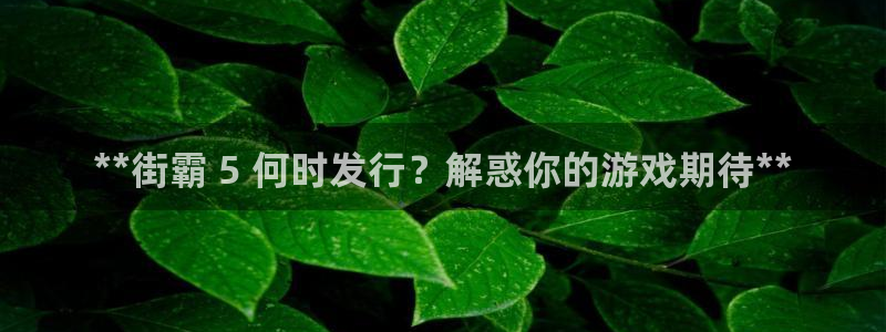 新宝gg官网最新版本更新内容介绍：**街霸 5 何时发行？解惑你的游戏期待**