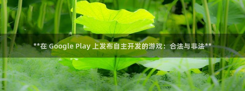 新宝gg平台—创造奇迹：**在 Google Play 上发布自主开发的游戏：合法与非法**