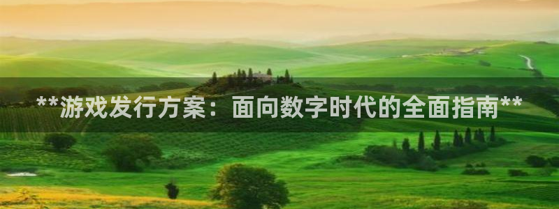 新宝GG平台德711.112如何处理：**游戏发行方案：面向数字时代的全面指南**