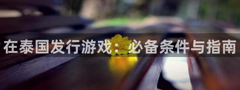 新宝gg—创造奇迹代理注册：在泰国发行游戏：必备条件与指南