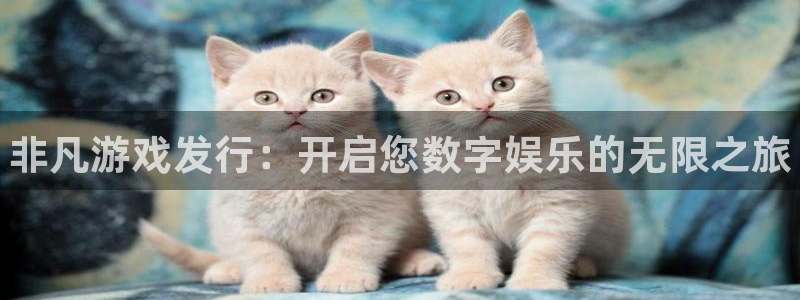 新宝gg官网客户端下载：非凡游戏发行：开启您数字娱乐的无限之旅