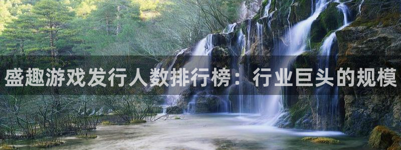 新宝gg5一创造奇迹代理：盛趣游戏发行人数排行榜：行业巨头的规模