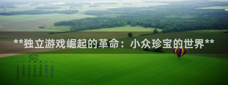 新宝GG平台德711怎么联系客服：**独立游戏崛起的革命：小众珍宝的世界**