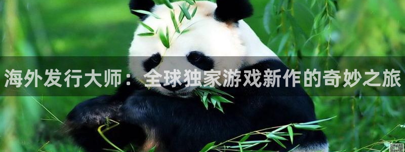 新宝gg一键登录