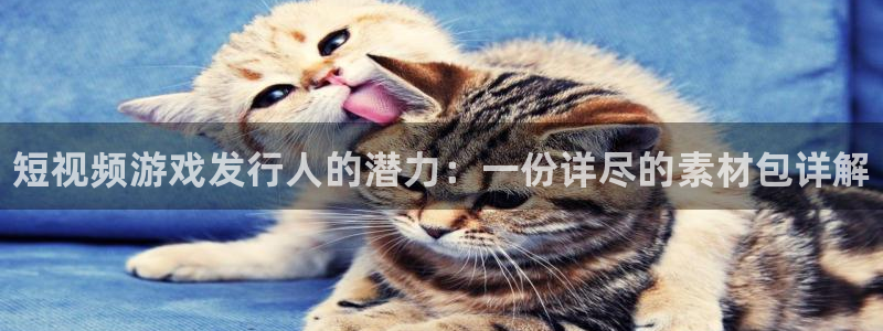 新宝gg奇迹登录：短视频游戏发行人的潜力：一份详尽的素材包详解