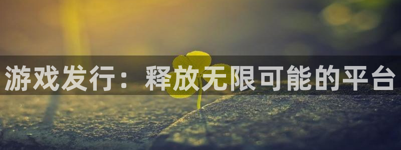 新宝gg—创造奇迹登录：游戏发行：释放无限可能的平台