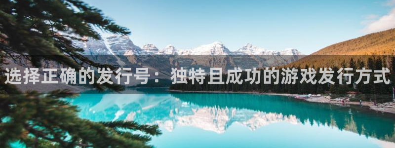 新宝gg一注册：选择正确的发行号：独特且成功的游戏发行方式