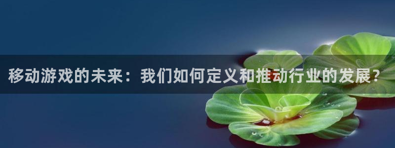 新宝gg创造奇迹登录注册入口：移动游戏的未来：我们如何定义和推动行业的发展？