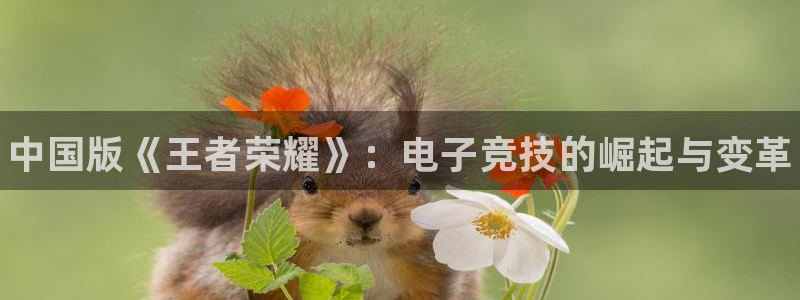 新宝gg注册登录账号：中国版《王者荣耀》：电子竞技的崛起与变革