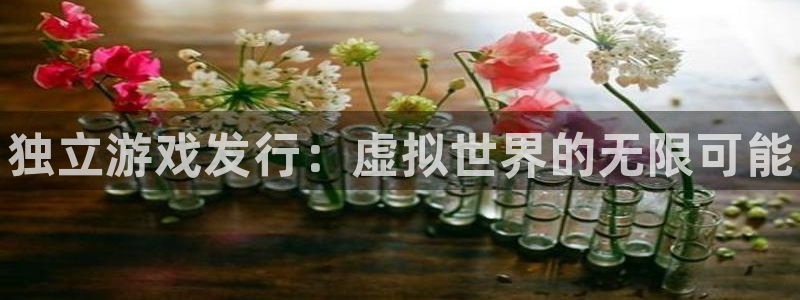新宝gg：独立游戏发行：虚拟世界的无限可能