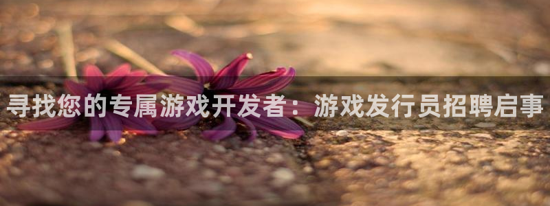 新宝gg1956注册地址：寻找您的专属游戏开发者：游戏发行员招聘启事