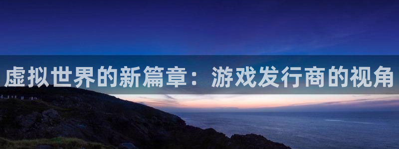 新宝gg登录不上去了了：虚拟世界的新篇章：游戏发行商的视角