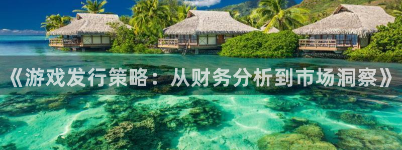 新宝gg创造奇迹平台登录入口：《游戏发行策略：从财务分析到市场洞察》