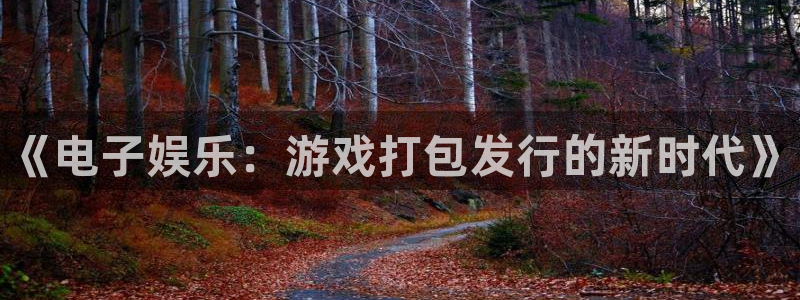 新宝gg创造奇迹官网：《电子娱乐：游戏打包发行的新时代》