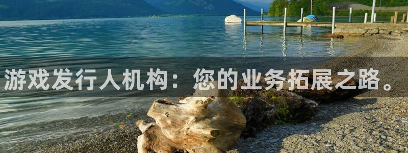 新宝gg创造奇奇迹：游戏发行人机构：您的业务拓展之路。